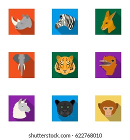 A set of icons of wild animals. Predatory and peaceful wild animals.Realistic animal icon in set collection on flat style vector symbol stock illustration.