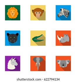 A set of icons of wild animals. Predatory and peaceful wild animals.Realistic animal icon in set collection on flat style vector symbol stock illustration.