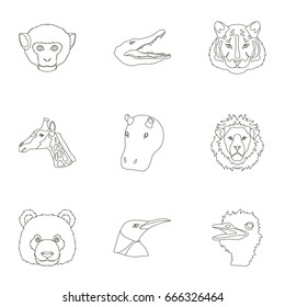 A set of icons of wild animals. Predatory and peaceful wild animals.Realistic animal icon in set collection on outline style vector symbol stock illustration.