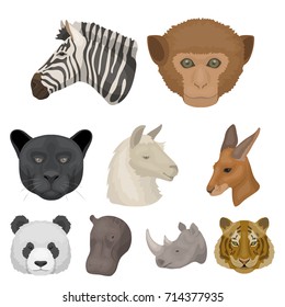 A set of icons of wild animals. Predatory and peaceful wild animals.Realistic animal icon in set collection on cartoon style vector symbol stock illustration.