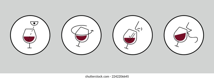 Set icons wine tasting stages. Taste Wine In Four Step Method. Wine tasting. Sommelier steps icons