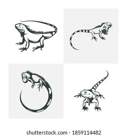 Set of Iguana vector illustration isolated on white background. creative design.
