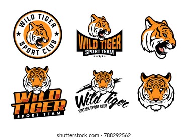 A set of illustrated tiger themed sport logo, patch, icon, or badge with various style