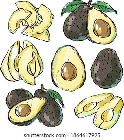 Set illustration with acocado, slices of avocado