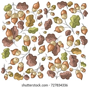 Set illustration with acorns