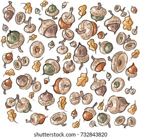 Set illustration with acorns