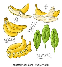Set illustration with bananas and leaves