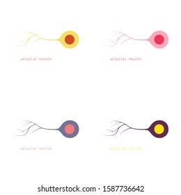 Set of Illustration of basic neuron types