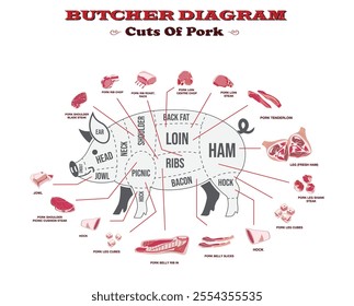 Set illustration of Butcher Diagram of Pork Cuts  