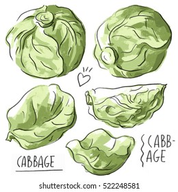 Set illustration with cabbages and lettering