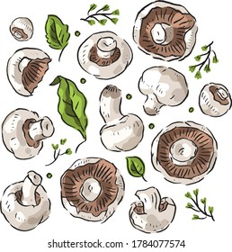 Set illustration with champignons mushrooms, vegan illustration