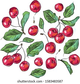 Set illustration with cherry, cherries, leaves, berries, harvest