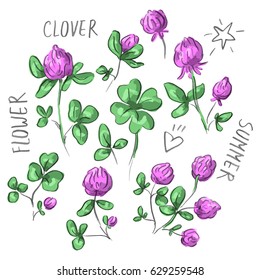 Set illustration with clover and lettering