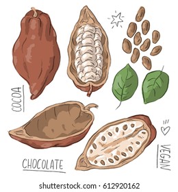Set illustration with cocoa and lettering