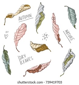 Set illustration with dry leaves