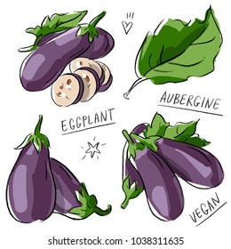 Set illustration with eggplant aubergine