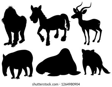 Set of illustration exotic animals illustration