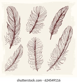 Set illustration with feathers. Isolated objects. Freehand drawing      