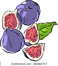 Set illustration with figs, slices of figs, leaves
