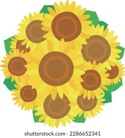 A set illustration of flowers with sunflowers and leaves arranged in a circle