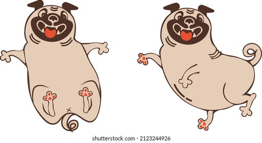 Set of illustration with Funny animal character posing pug drawing in flat style