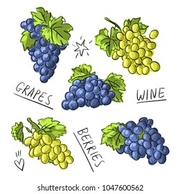 Set illustration with grapes