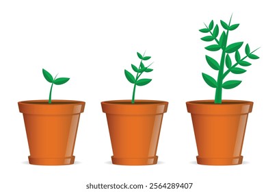 Set Illustration of Growth Stages of a Plant in Pots 