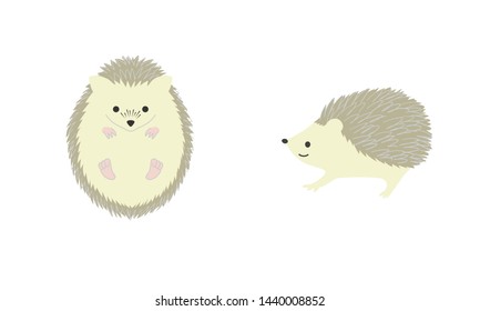 Set of illustration of hedgehog