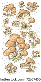 Set illustration with honey agaric