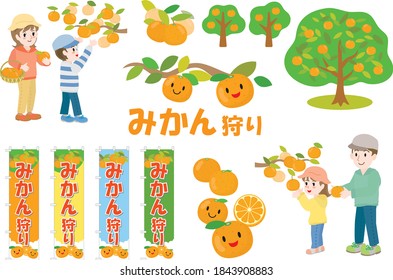Set of illustration and a Japanese letter for the mandarin orange picking. Translation: "Mandarin orange picking"