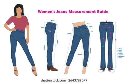 Definir a ilustração do Guia de Medição de Calças Jeans Femininas isolada.