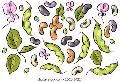 Set illustration with kidney beans, leaves and flowers