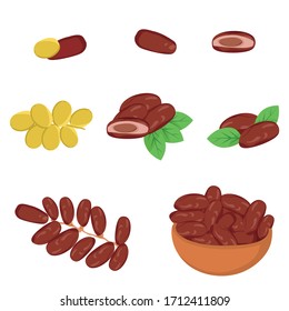 set of Illustration Kurma arab date fruits ramadan iftar vector compilation