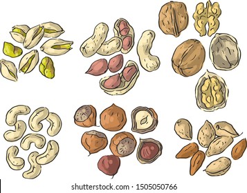 Set illustration with nuts hazelnuts, cashews, almonds, peanuts, walnuts, pistachios