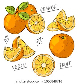 Set illustration with oranges fruits