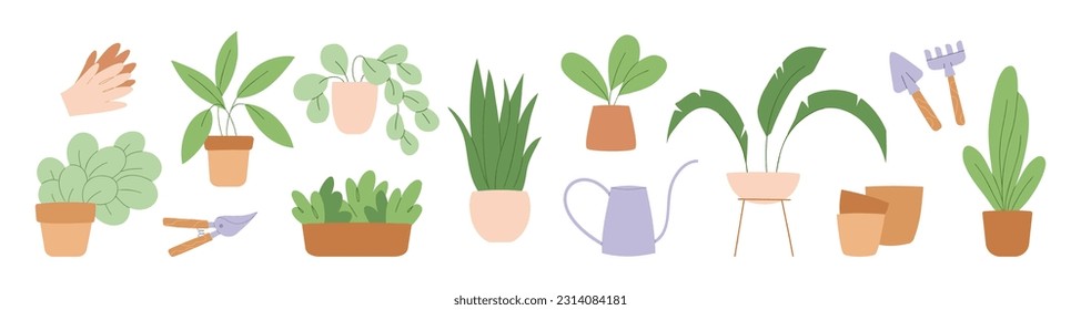 Set of illustration with plants in pots