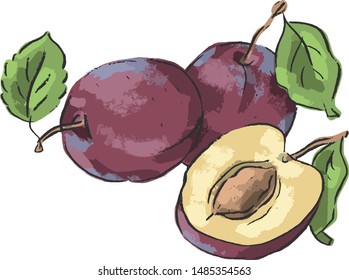 Set illustration with plum and leaves