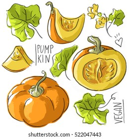 Set illustration with pumpkins, flowers, leaves and lettering