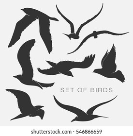 set of illustration of silhouettes of birds
