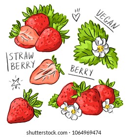 Set illustration with strawberry