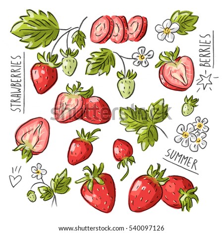 Set illustration with strawberry and lettering