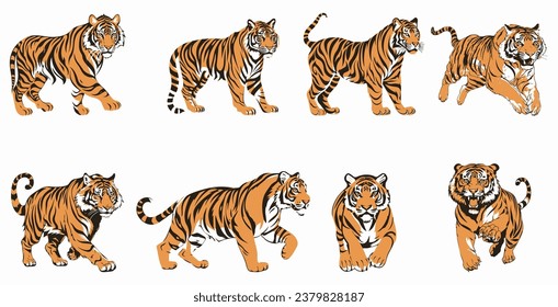 conjunto de ilustraciones de tigres. postura de caza de tigres de pie. tres colores. aislado en un fondo blanco. Pasos 10
