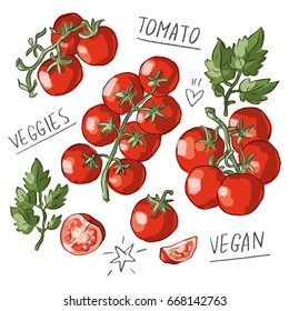 Set illustration with tomatoes, leaves and lettering