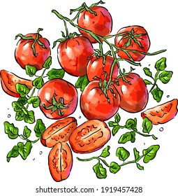 Set illustration with tomatoes, tomato, branch of cherry tomatoes 