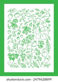 set illustration of various Garden Fruits, leaves, tree branches in green