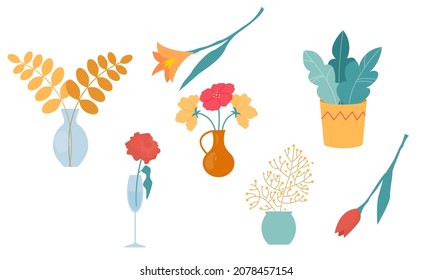 Set of illustration with various plants, roses, tulips, houseplants. Vector illustration. Interior, accessories