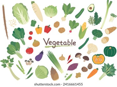 Set illustration of various types of vegetables