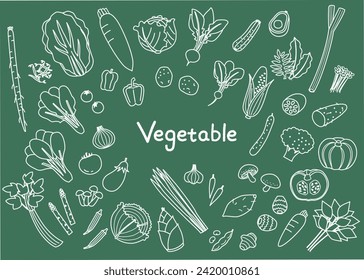 Set illustration of various types of vegetables
