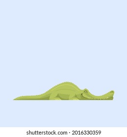 set illustration vector graphic of cartoon animal crocodile