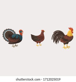 set illustration vector graphic of chicken and turkey farm